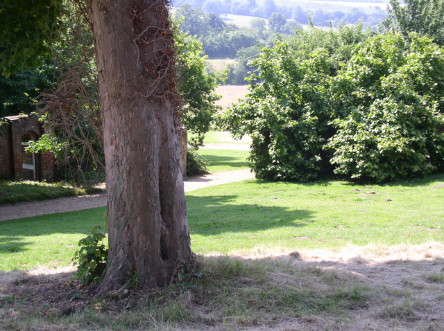 P7090018.JPG