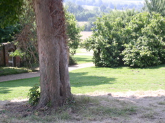 P7090018.JPG