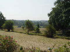 DSC08245.JPG
