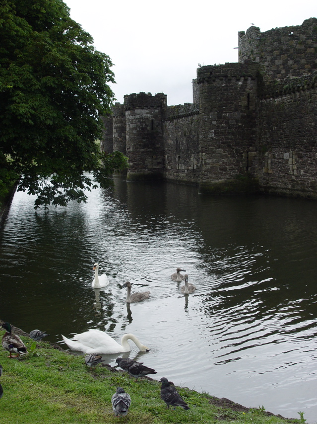 DSC07073.JPG