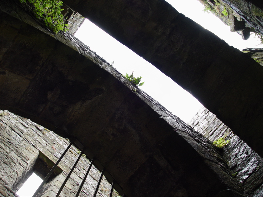 DSC07088.JPG