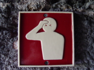 DSC07141.JPG