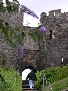 P7040015.JPG