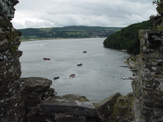 DSC06989.JPG