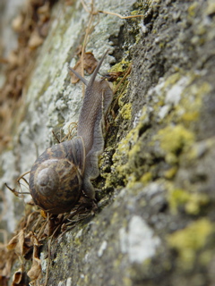 DSC07053.JPG