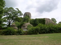 P6300001.JPG