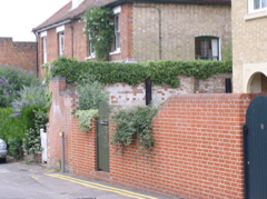 P6300007.JPG