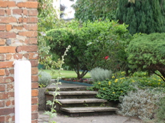 P6300008.JPG