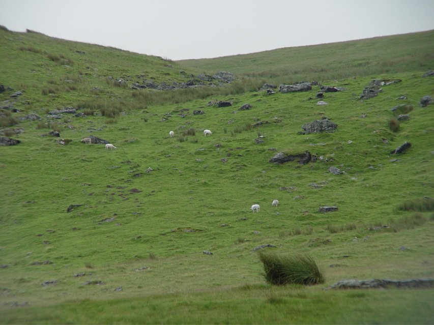 DSC07304.JPG