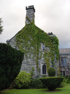 DSC07269.JPG