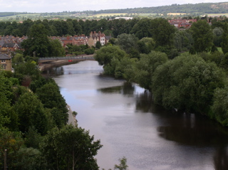 P7050015.JPG