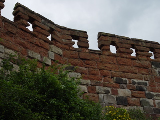 DSC07288.JPG