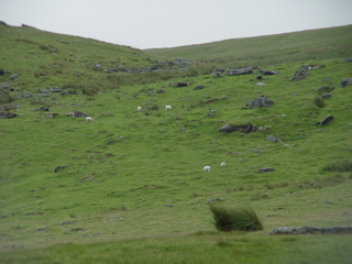 DSC07304.JPG