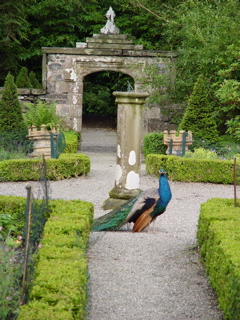 DSC07239.JPG