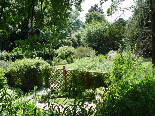 DSC07778.JPG