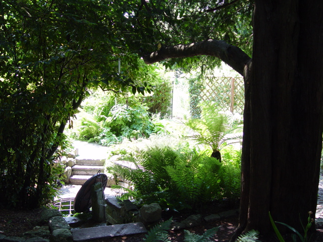 DSC07779.JPG