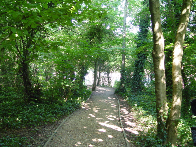 DSC08239.JPG