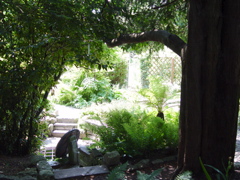 DSC07779.JPG