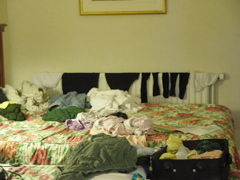 DSC06844.JPG