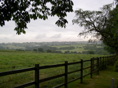 P7030003.JPG