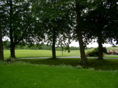 P7030004.JPG