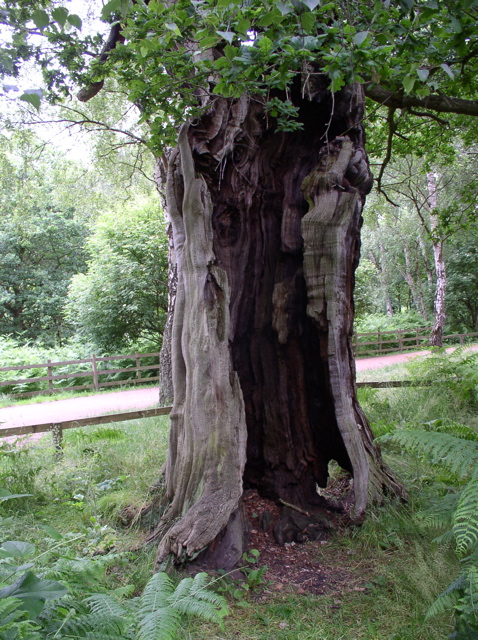 P7010059.JPG