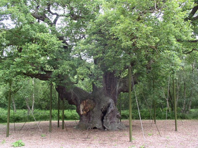 P7010063.JPG