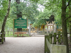DSC06212.JPG
