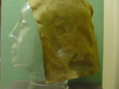 DSC06363.JPG
