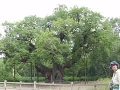 DSC06231.JPG