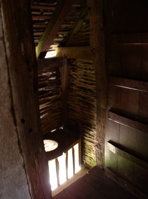 P7080018.JPG