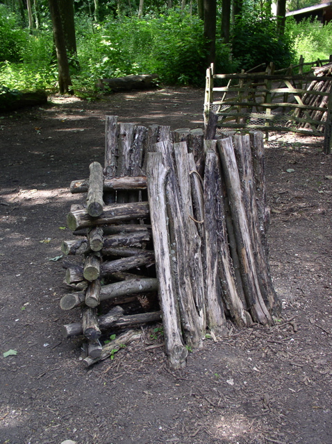 P7080045.JPG