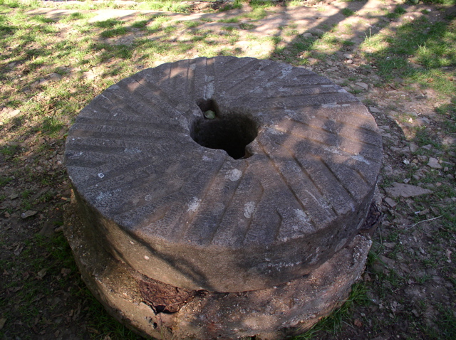 P7080059.JPG