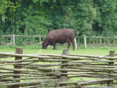DSC08006.JPG