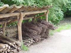 DSC08121.JPG