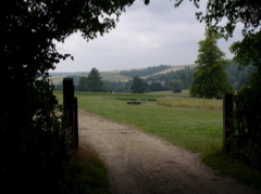 P7080036.JPG
