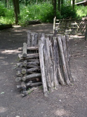 P7080045.JPG