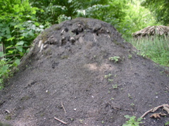 P7080047.JPG