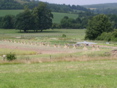 Fields at the Weald & Downland Museum